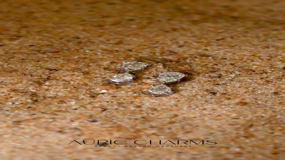 Auric Charms diamond jewellery reel frame by Indiibot Technology