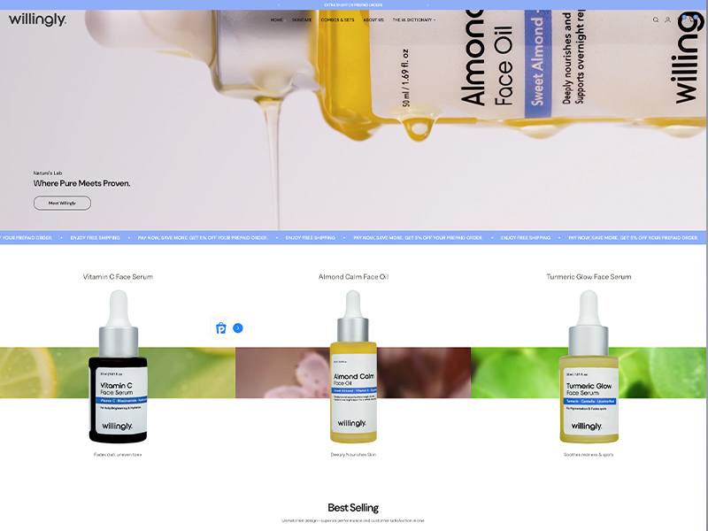 Willingly website desktop