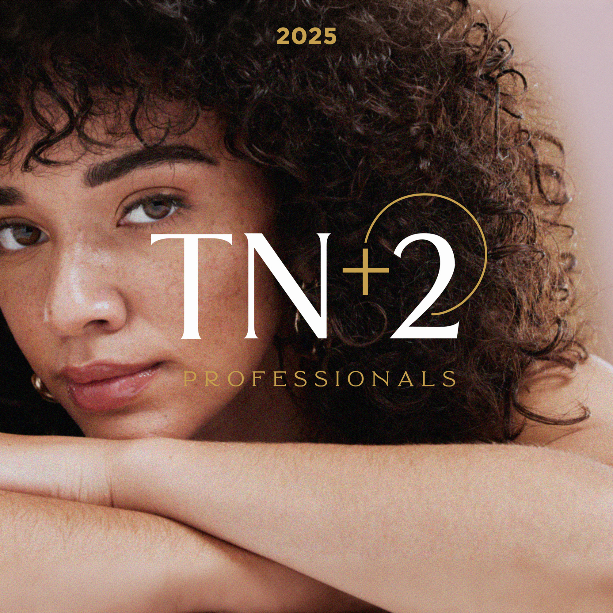 TN+2 Professionals